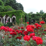 Парад на розите в Ботаническа градина - Балчик