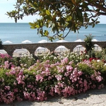 Тодор Живков платил на Румъния Ботаническата градина в Балчик