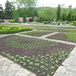 Започна кампанията за лятно зацветяване в Ботаническата градина