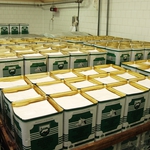 Млекопреработвателно предприятие иска да строи в Балчик столично дружество