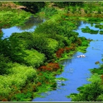 Предстоят проверки за нерегламентирани сметища по разпореждане на Районните прокуратури