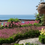 Увеличил се е броят на туристите от Чехия, Полша, Румъния и Япония, които посещават „Двореца” в Балчик