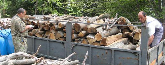  Горски служители задържаха 150 куб.м. дървесина
