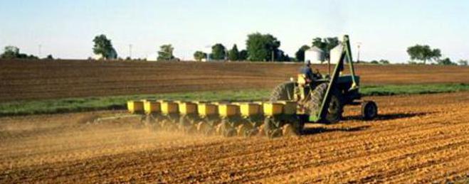 Фермери заявиха кредити за над 2.8 млн. лева за производство на пшеница