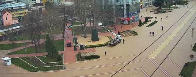 Коледната елха на Добрич ще бъде на площад "Свобода"