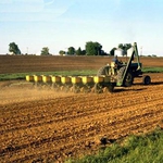 Фермери заявиха кредити за над 2.8 млн. лева за производство на пшеница