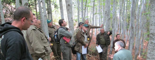 15 сигнала на 112 задействаха горските стражари в област Добрич