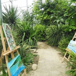 Студенти ще представят изложба в Ботаническа градина – Балчик