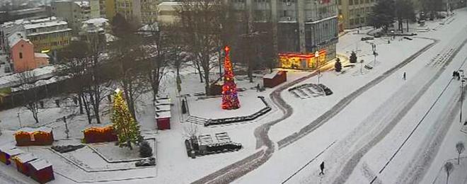 Коледната елха в Добрич грейва на 7 декември