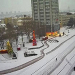 Коледната елха в Добрич грейва на 7 декември